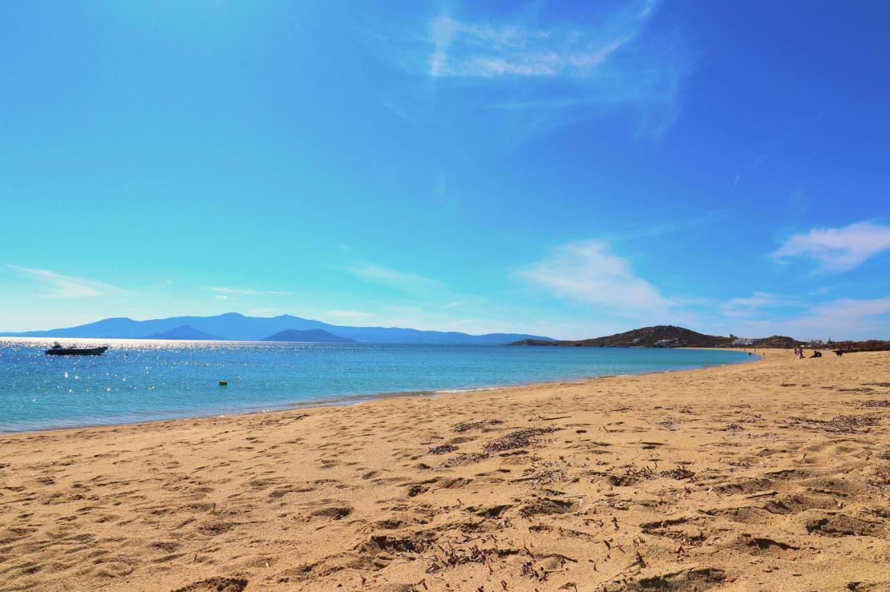 Beach Apartment Thalia With Hot Tub And Sea View Agios Prokopios  Exterior foto
